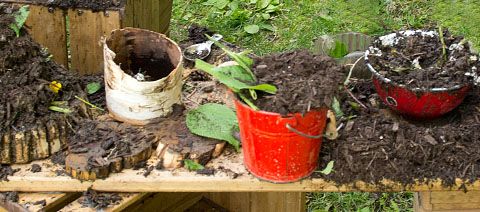 tin pail full of mud