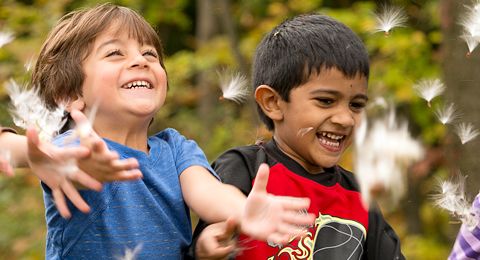 children catching falling leaves