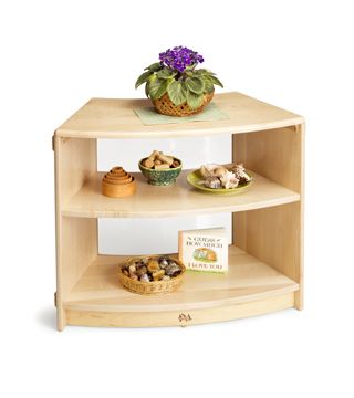 a plant and shells on a shelf