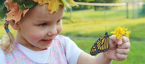 child looking at a butterfly